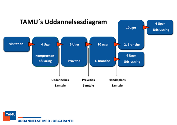 Uddannelsesdiagram Til Hjemmesiden 2021 2